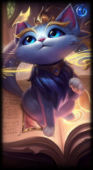 给出了决定 给出了决定